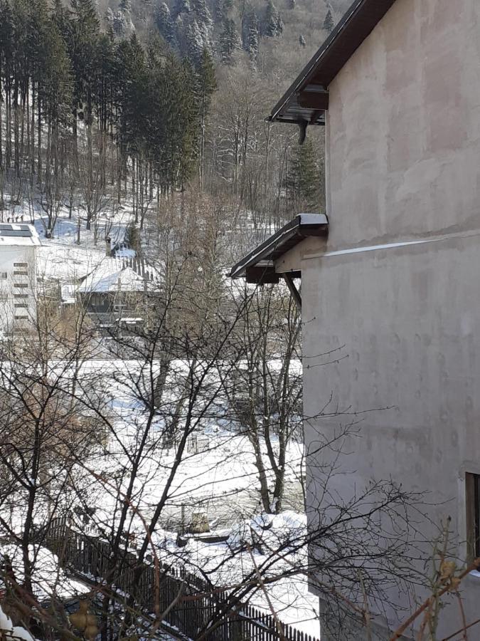 Готель Casa Ryana Сіная Екстер'єр фото